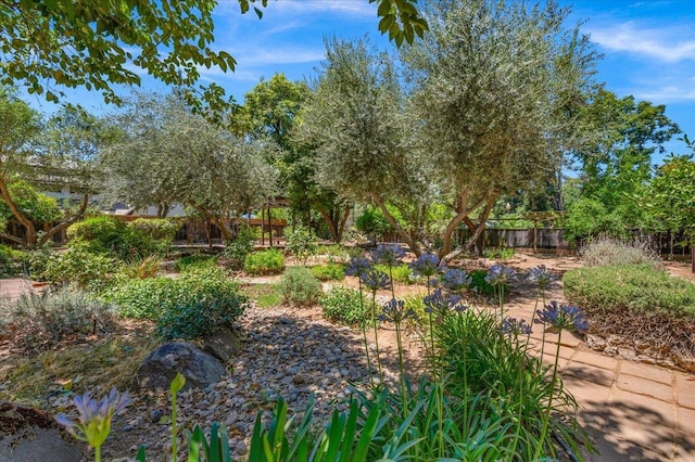 835 E Ashcroft Ave, Fresno, CA 93704 - view of yard