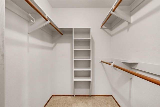 835 E Ashcroft Ave, Fresno, CA 93704 - spacious closet with carpet floors