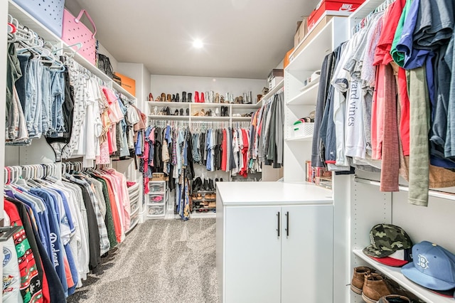 924 Orchard Hills Rd, Madera, CA 93636 - walk in closet with carpet