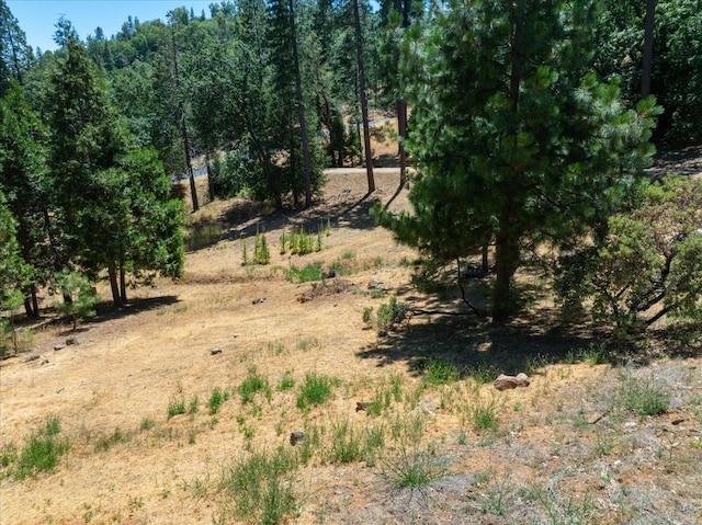 53401 Timberview Rd, North Fork, CA 93643 - view of undeveloped land