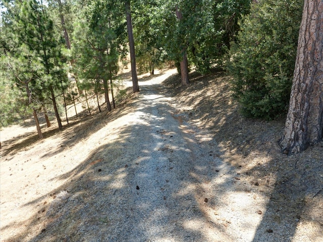 53401 Timberview Rd, North Fork, CA 93643 - view of street