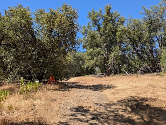 51668 Courtney Ln, Oakhurst, CA 93644