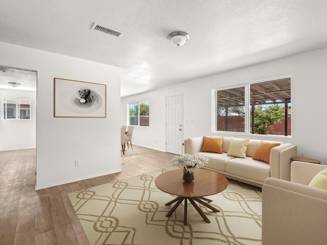 2557 Jackson St, Selma, CA 93662 - living area with light wood-style floors and a textured ceiling
