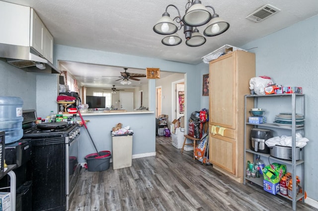 448 E Tuolumne St, Fresno, CA 93706 - kitchen with gas stove, wood finished floors, extractor fan, ceiling fan, and a chandelier