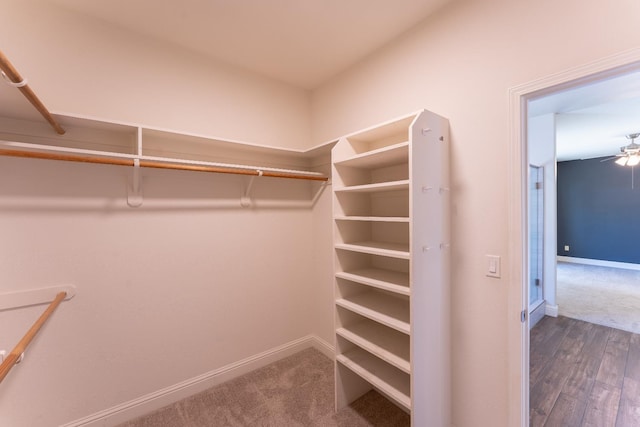 1963 Rialto Ct, Clovis, CA 93611 - walk in closet with wood finished floors, ceiling fan, and carpet