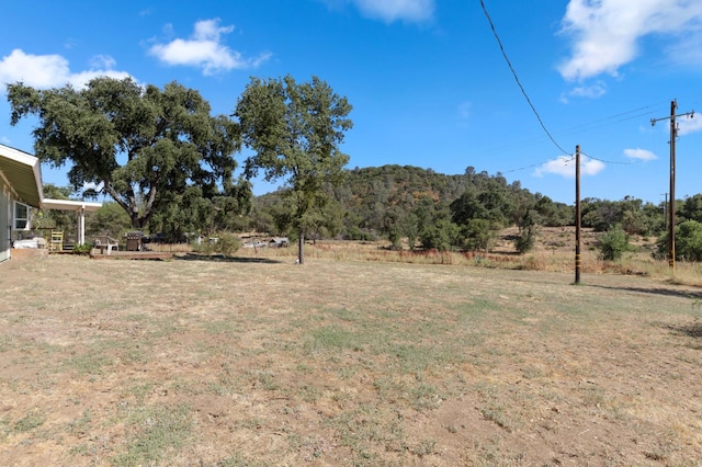 44810 Douglas Rd S, Coarsegold, CA 93614 - view of green lawn