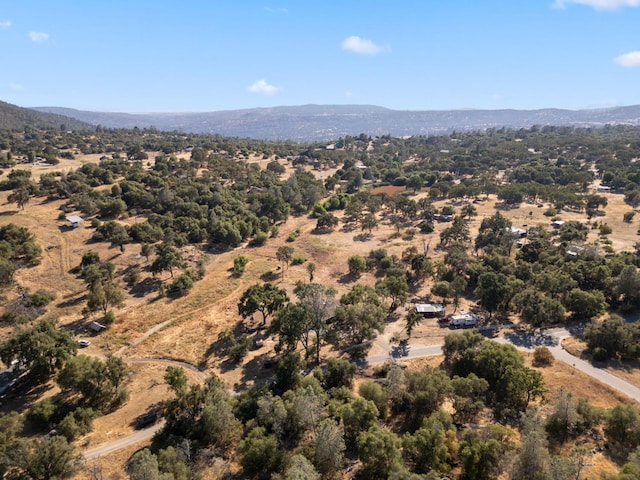 44810 Douglas Rd S, Coarsegold, CA 93614 - drone / aerial view of a mountainous background