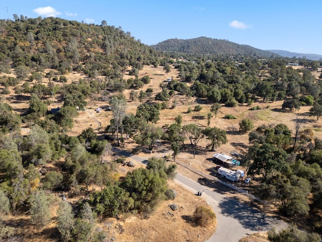 44810 Douglas Rd S, Coarsegold, CA 93614 - mountain view with a forest