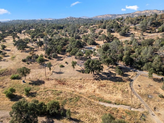 44810 Douglas Rd S, Coarsegold, CA 93614 - aerial overview of property's location featuring mountains and rural landscape