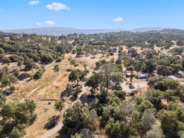 44810 Douglas Rd S, Coarsegold, CA 93614 - drone / aerial view of a mountainous background