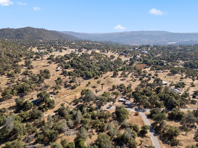 44810 Douglas Rd S, Coarsegold, CA 93614 - bird's eye view of mountains