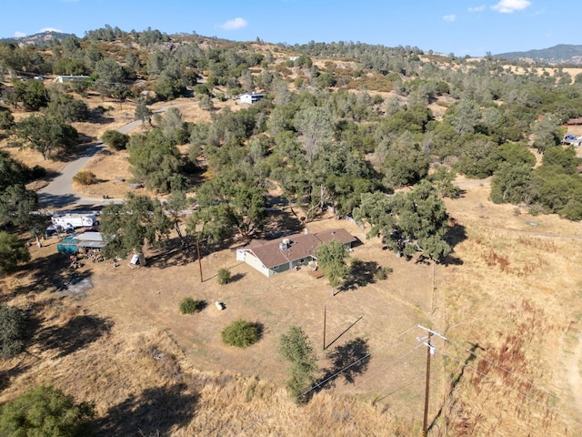 44810 Douglas Rd S, Coarsegold, CA 93614 - aerial overview of property's location