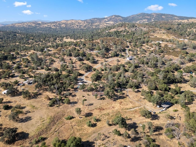 44810 Douglas Rd S, Coarsegold, CA 93614 - view of mountain background