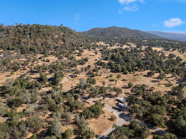 44810 Douglas Rd S, Coarsegold, CA 93614 - mountain view