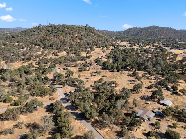 44810 Douglas Rd S, Coarsegold, CA 93614 - mountain view with a desert landscape