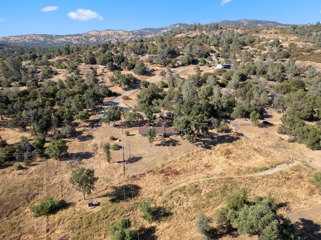 44810 Douglas Rd S, Coarsegold, CA 93614 - view of mountain background with rural landscape