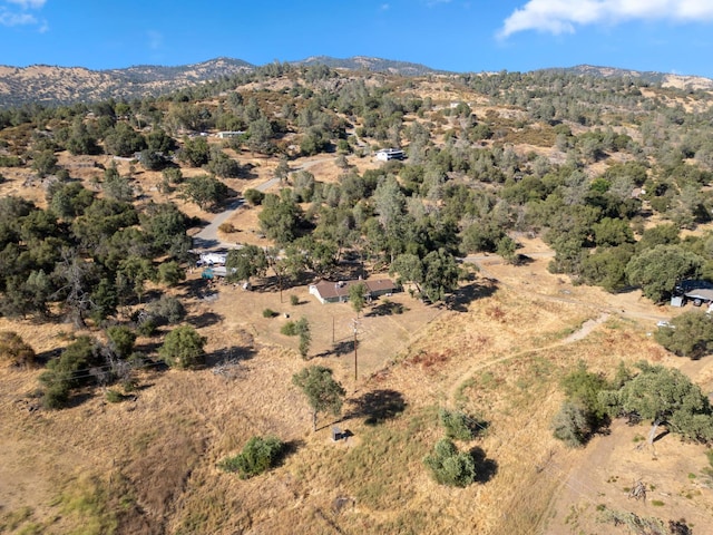 44810 Douglas Rd S, Coarsegold, CA 93614 - aerial overview of property's location with mountains