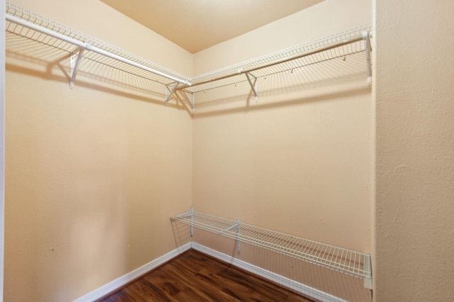 3924 E Iowa Ave, Fresno, CA 93702 - walk in closet with dark wood finished floors