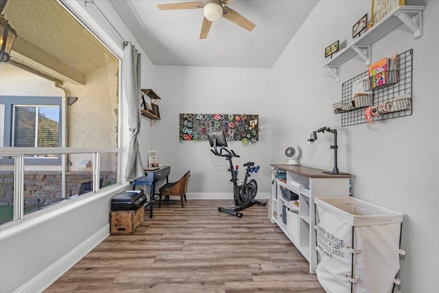 34503 Backbone Rd, Auberry, CA 93602 - exercise room featuring ceiling fan and light wood-style flooring