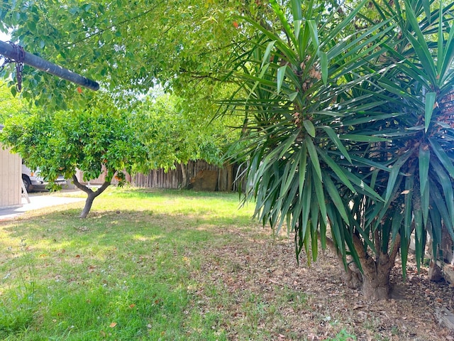 2723 E Lansing Way, Fresno, CA 93726 - view of yard