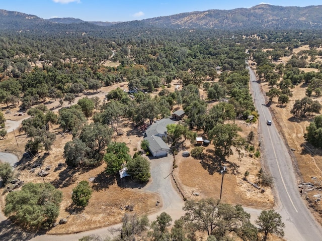 4577 Totokon Rd, Mariposa, CA 95338 - photo 51