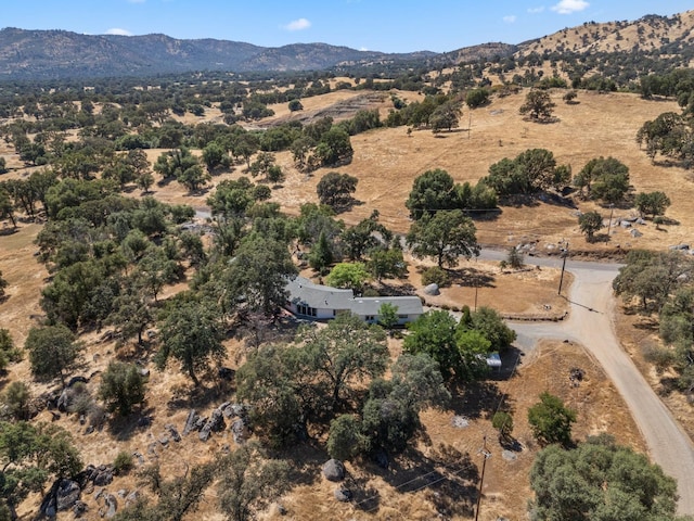 4577 Totokon Rd, Mariposa, CA 95338 - photo 47