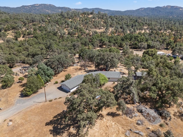 4577 Totokon Rd, Mariposa, CA 95338 - photo 50
