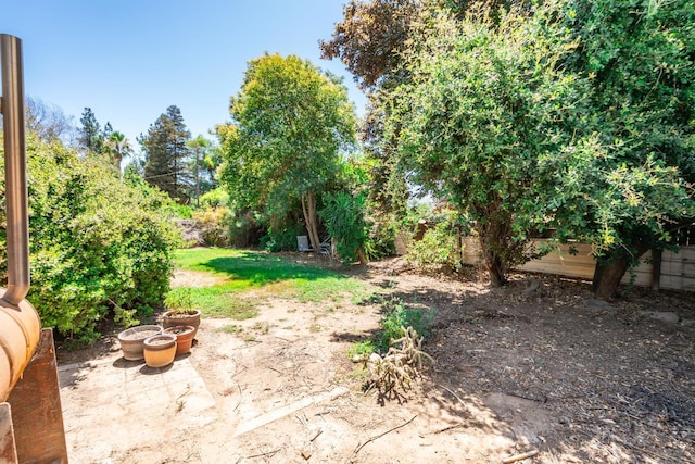 36358 Orange Grove Ave, Madera, CA 93636 - view of yard