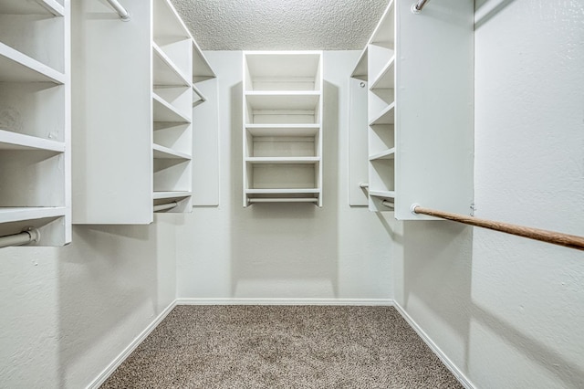 7343 N 4th St, Fresno, CA 93720 - spacious closet with carpet floors