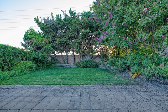 7343 N 4th St, Fresno, CA 93720 - fenced backyard with a patio area