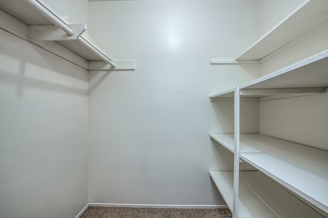 7343 N 4th St, Fresno, CA 93720 - walk in closet with carpet floors
