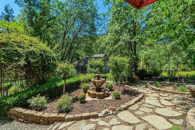 36522 Mudge Ranch Rd, Coarsegold, CA 93614 - view of yard