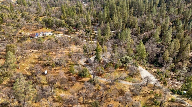 36522 Mudge Ranch Rd, Coarsegold, CA 93614 - aerial overview of property's location with a heavily wooded area