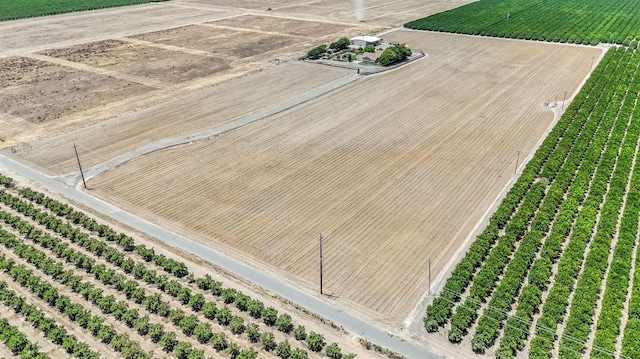 6421 S Greenwood Ave, Del Rey, CA 93616 - view of rural area featuring extensive farmland