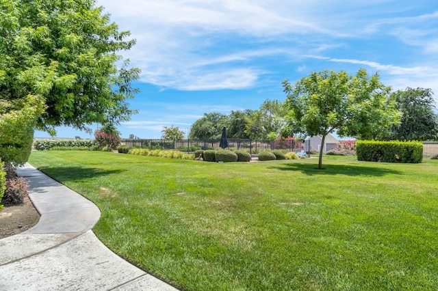 6421 S Greenwood Ave, Del Rey, CA 93616 - view of yard