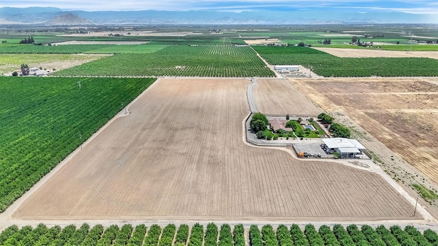 6421 S Greenwood Ave, Del Rey, CA 93616 - view of rural area featuring large plots for crops