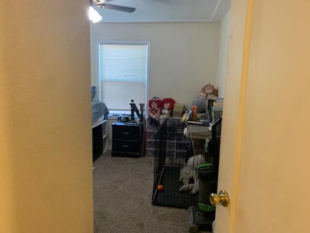 3614 E Washington Ave, Fresno, CA 93702 - walk in closet featuring carpet floors and a ceiling fan