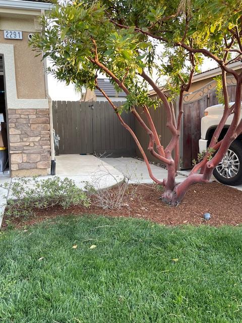 2291 E Prestwick Ave, Fresno, CA 93730 - view of yard