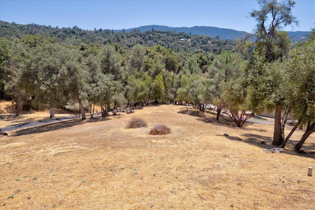 39397 Moonray Ln, Oakhurst, CA 93644 - view of mountain background featuring a forest