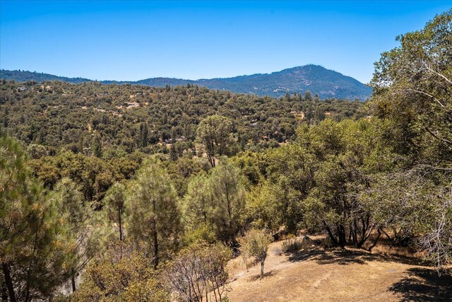 39397 Moonray Ln, Oakhurst, CA 93644 - view of mountain background with a heavily wooded area