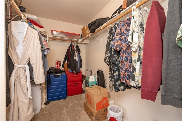 39397 Moonray Ln, Oakhurst, CA 93644 - spacious closet featuring carpet flooring