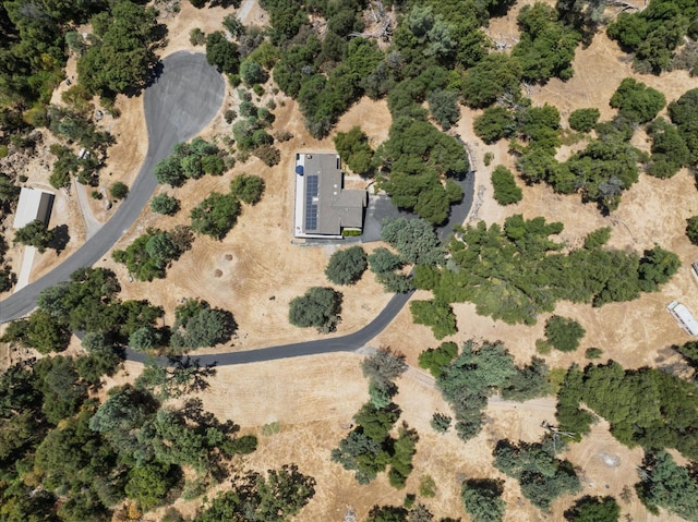 39397 Moonray Ln, Oakhurst, CA 93644 - aerial view