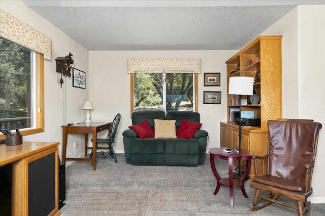 39397 Moonray Ln, Oakhurst, CA 93644 - carpeted living area with a textured ceiling