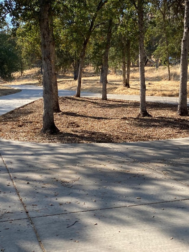 29503 Spence Ln, Tollhouse, CA 93667 - photo 32