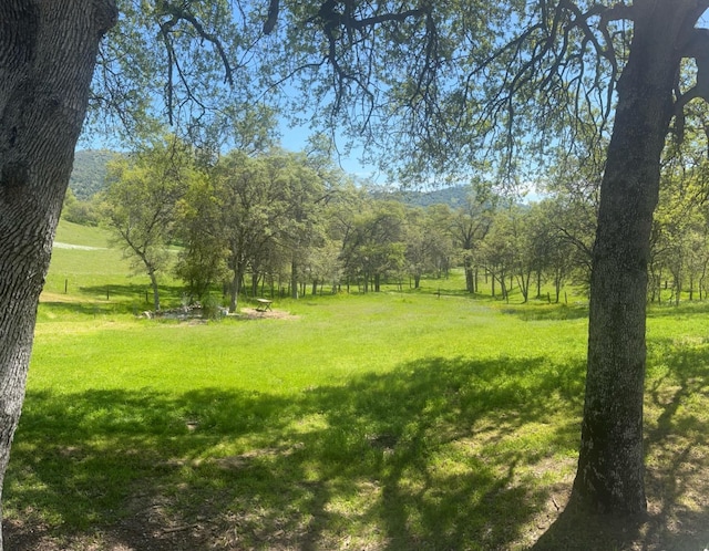 29503 Spence Ln, Tollhouse, CA 93667 - photo 26