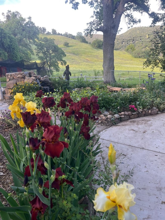 29503 Spence Ln, Tollhouse, CA 93667 - photo 43