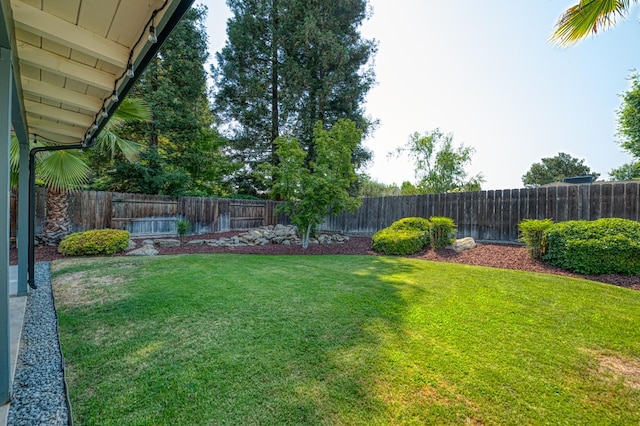 591 E Warwick Ave, Fresno, CA 93720 - view of fenced backyard