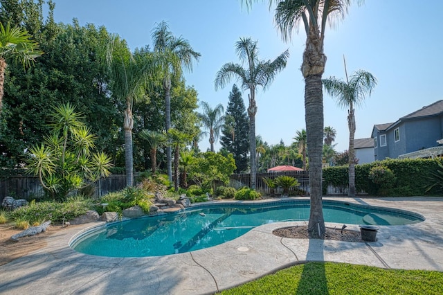 1875 El Paso Ave, Clovis, CA 93611 - photo 27