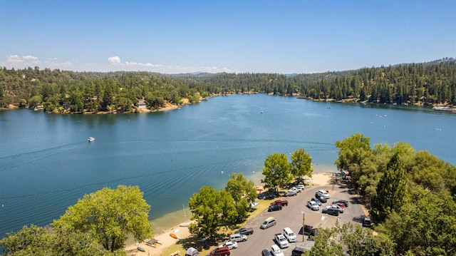 20018 Pine Mountain Dr, Groveland, CA 95321 - photo 50