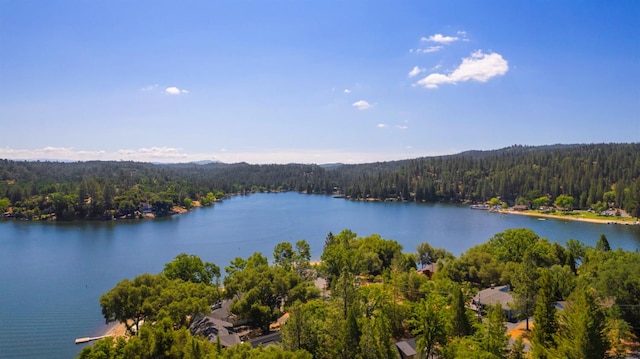 20018 Pine Mountain Dr, Groveland, CA 95321 - photo 48